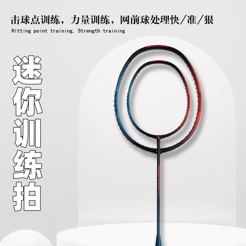 Badminton Racket Carbon - Badminton Racket Full Carbon Mini Training